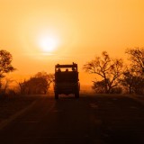 Safari