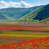 Umbria