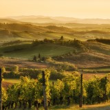 Florence