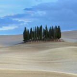 Siena
