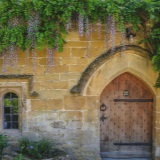 Cotswolds