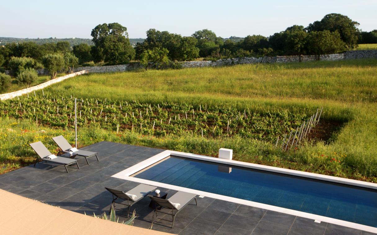 Rectangular swimming pool lined with sun loungers overlooking small vineyard and lawns.