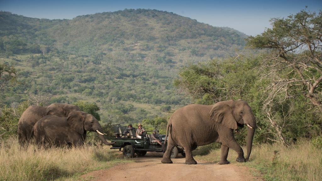 Phinda Rock Lodge