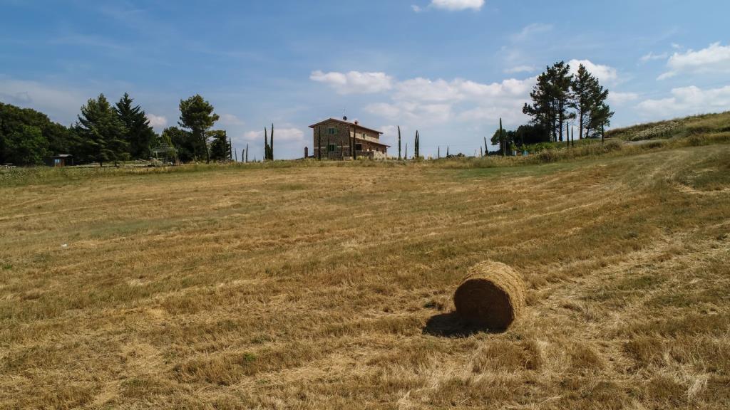 Villa Poggio Fibbia