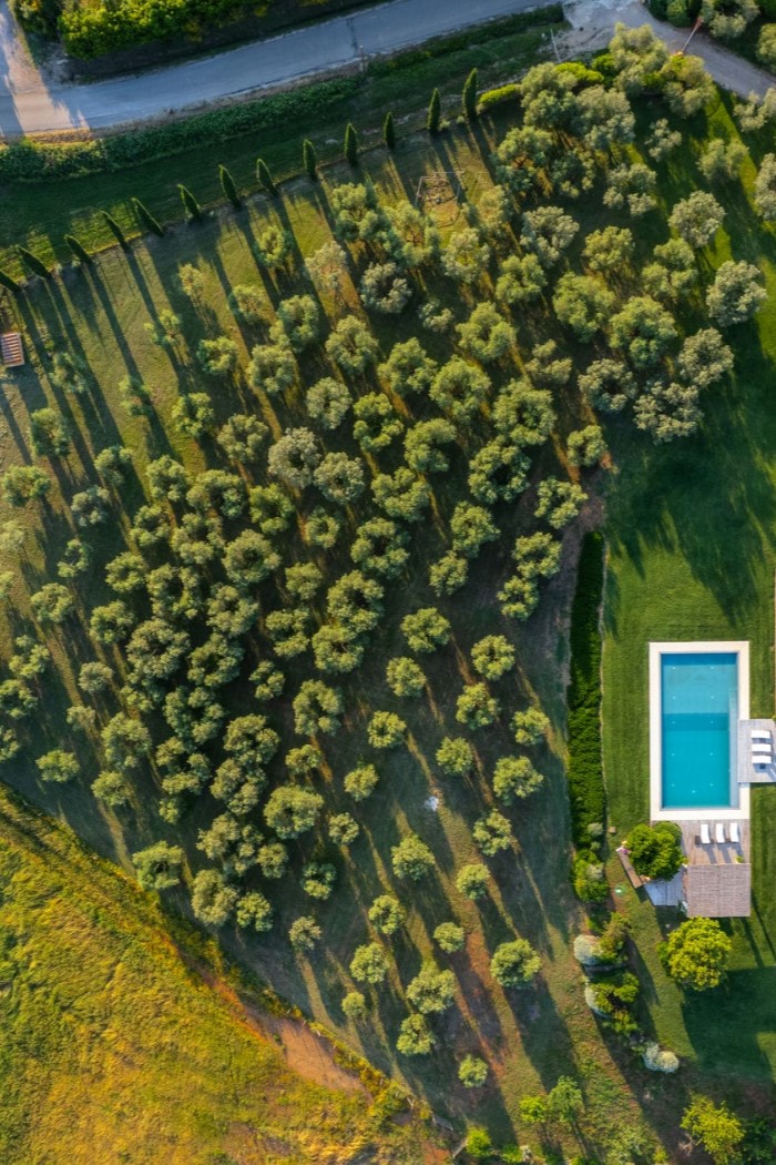 Villa Zen