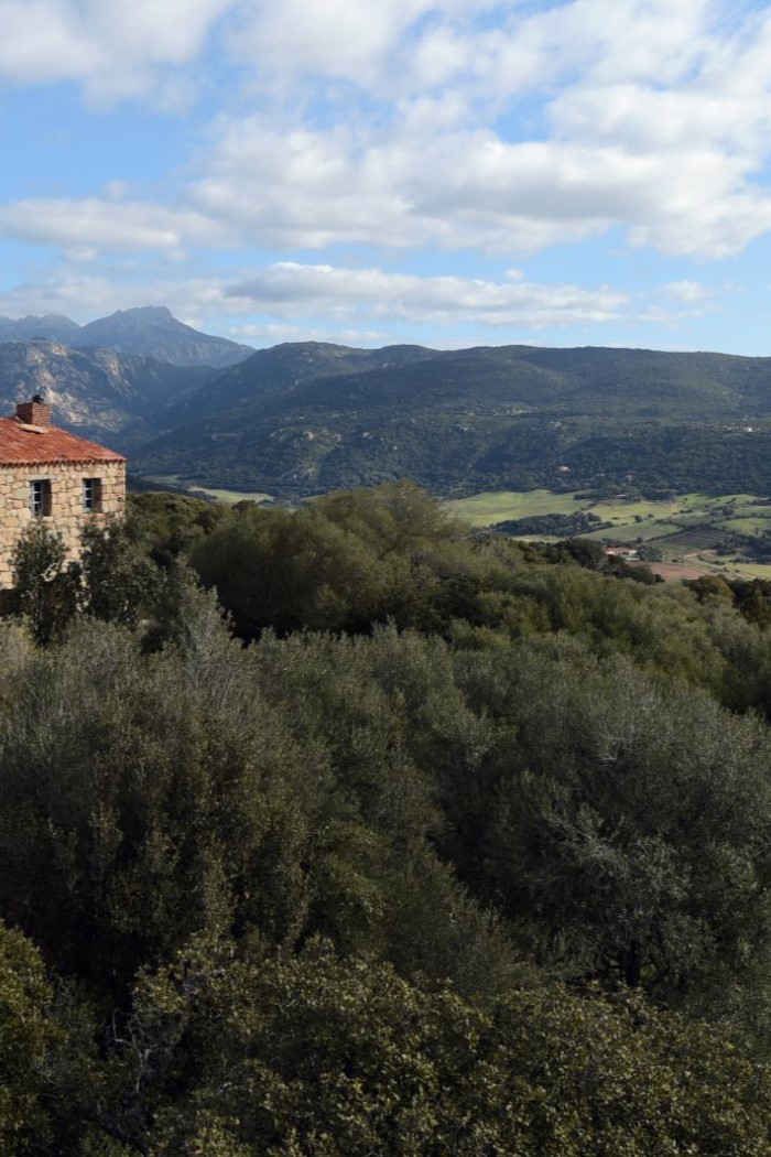 Villa A Liccia