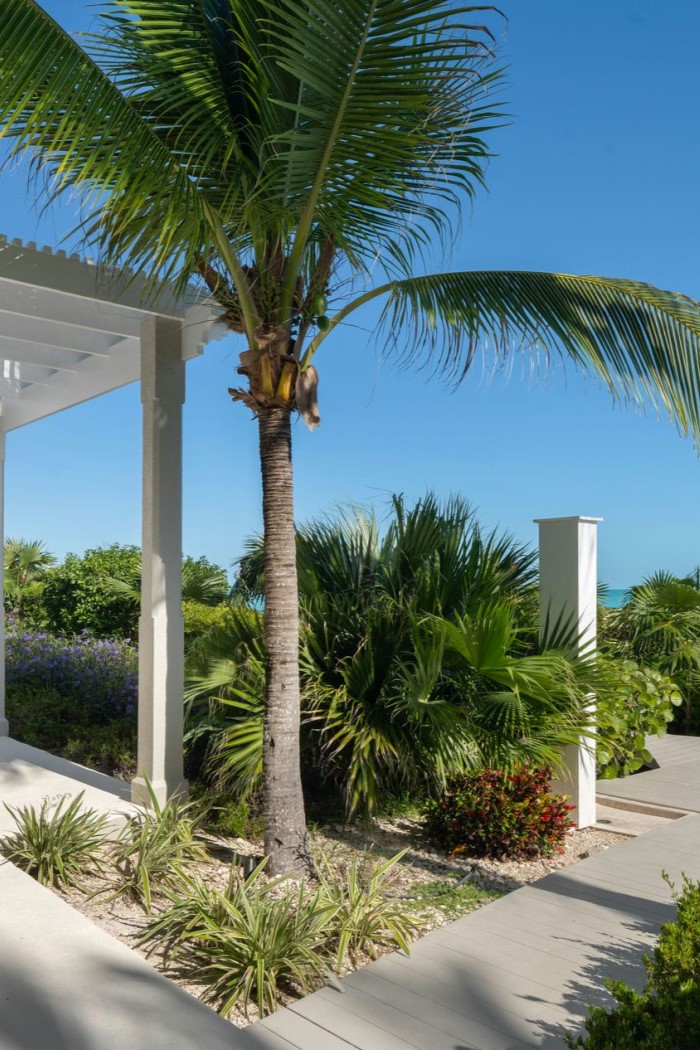 Haven House