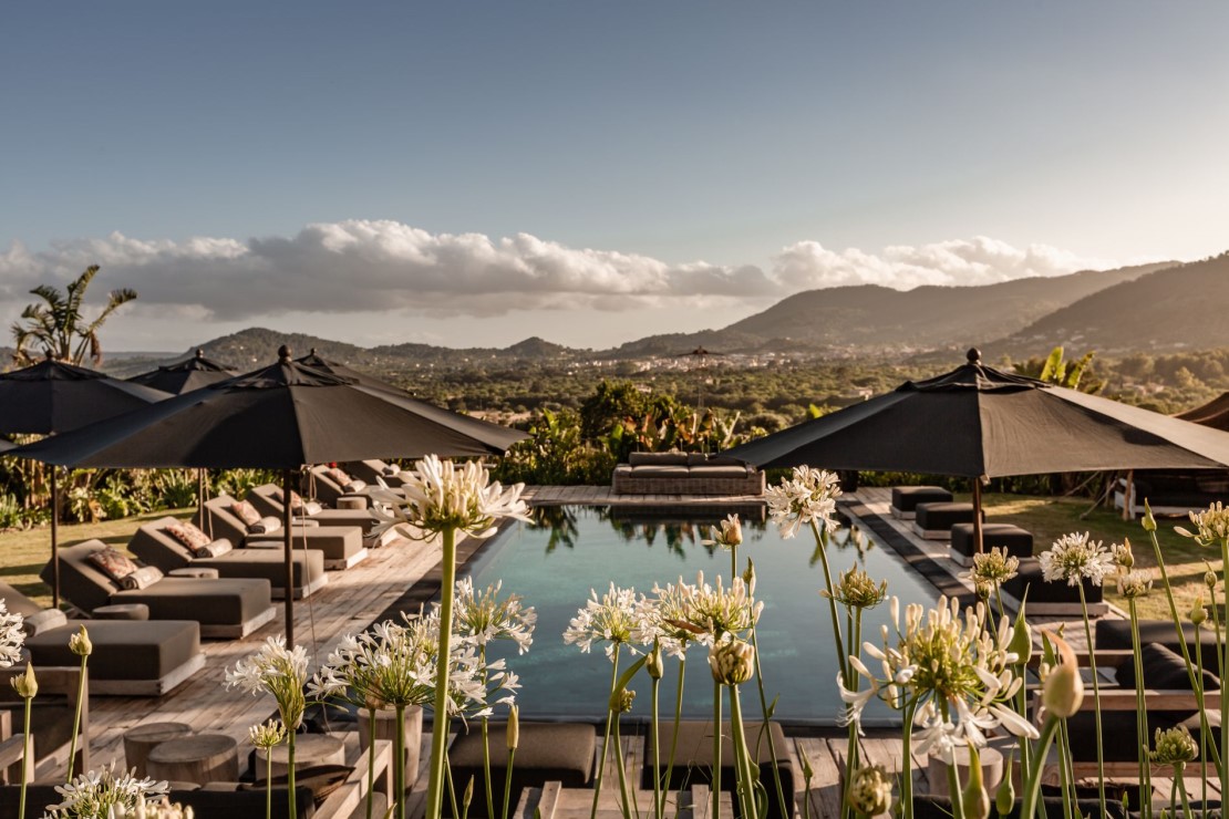 Spirit of Son Fuster