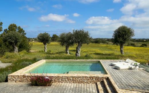villa-forementera-balearic-islands-spain-luxury-pool-miluna-swim (7)
