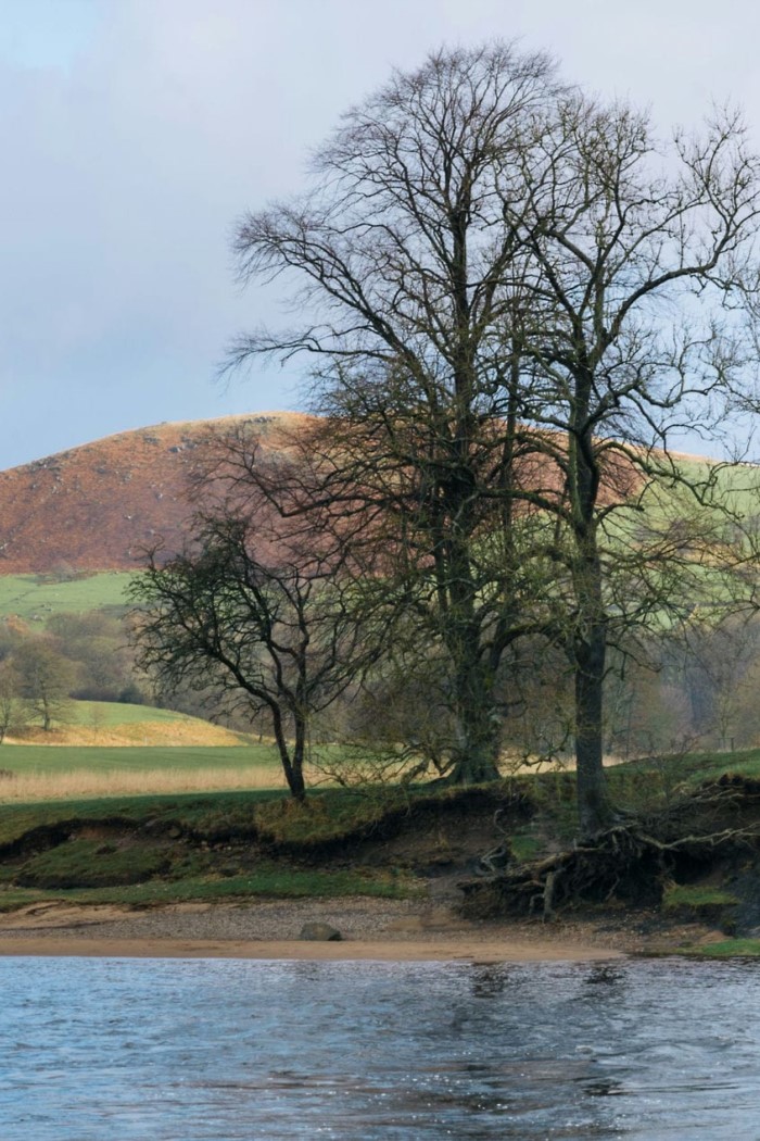 The Hall at Bolton Abbey