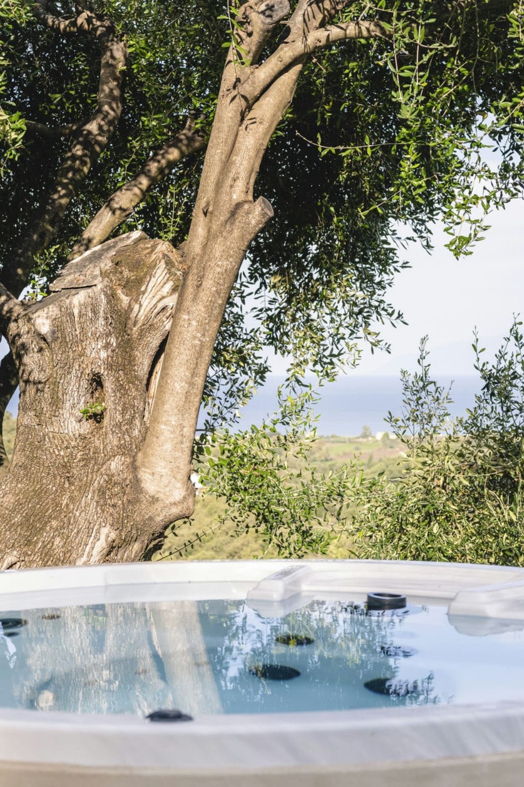 Ionian Stone Estate