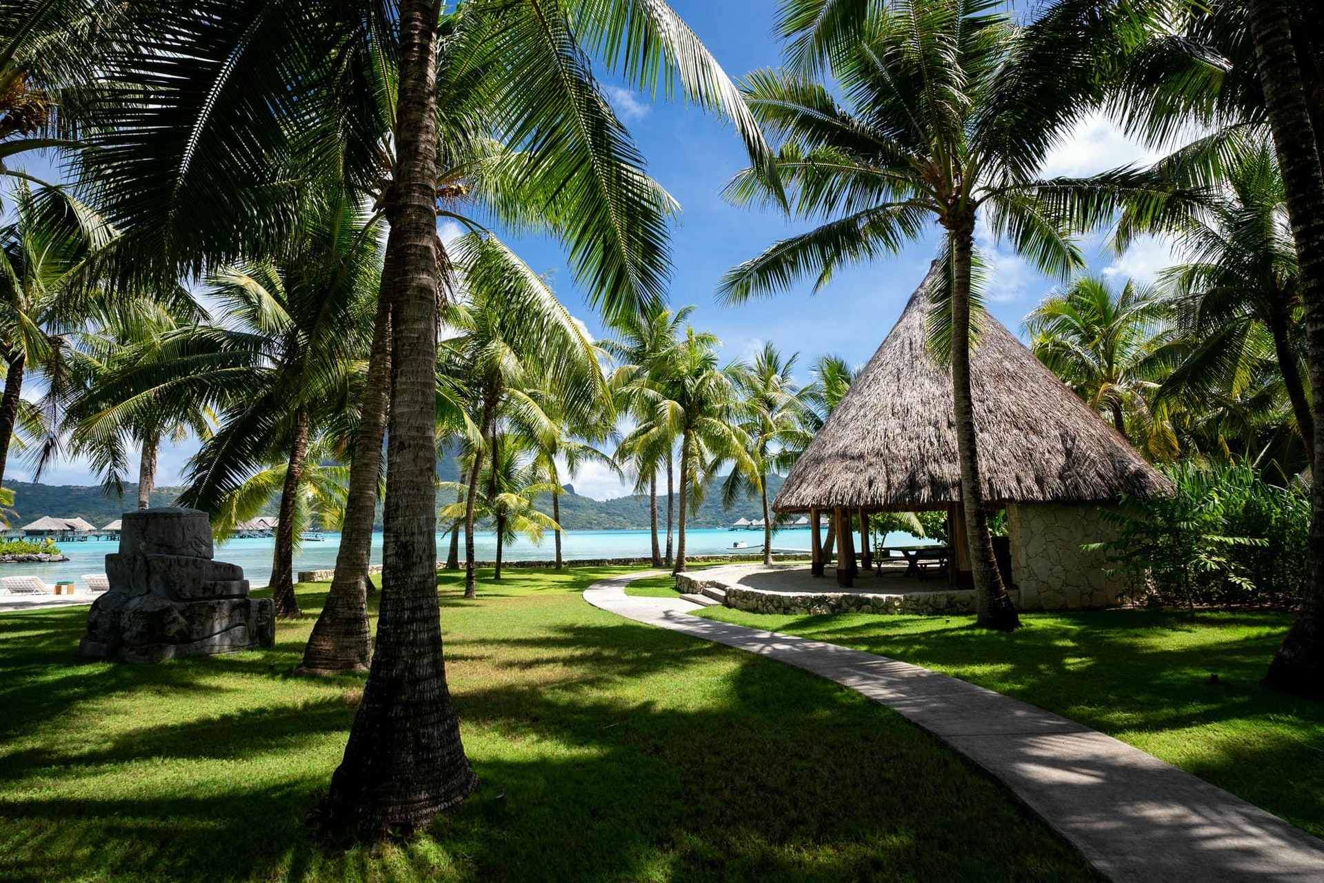 Noam Bora Bora