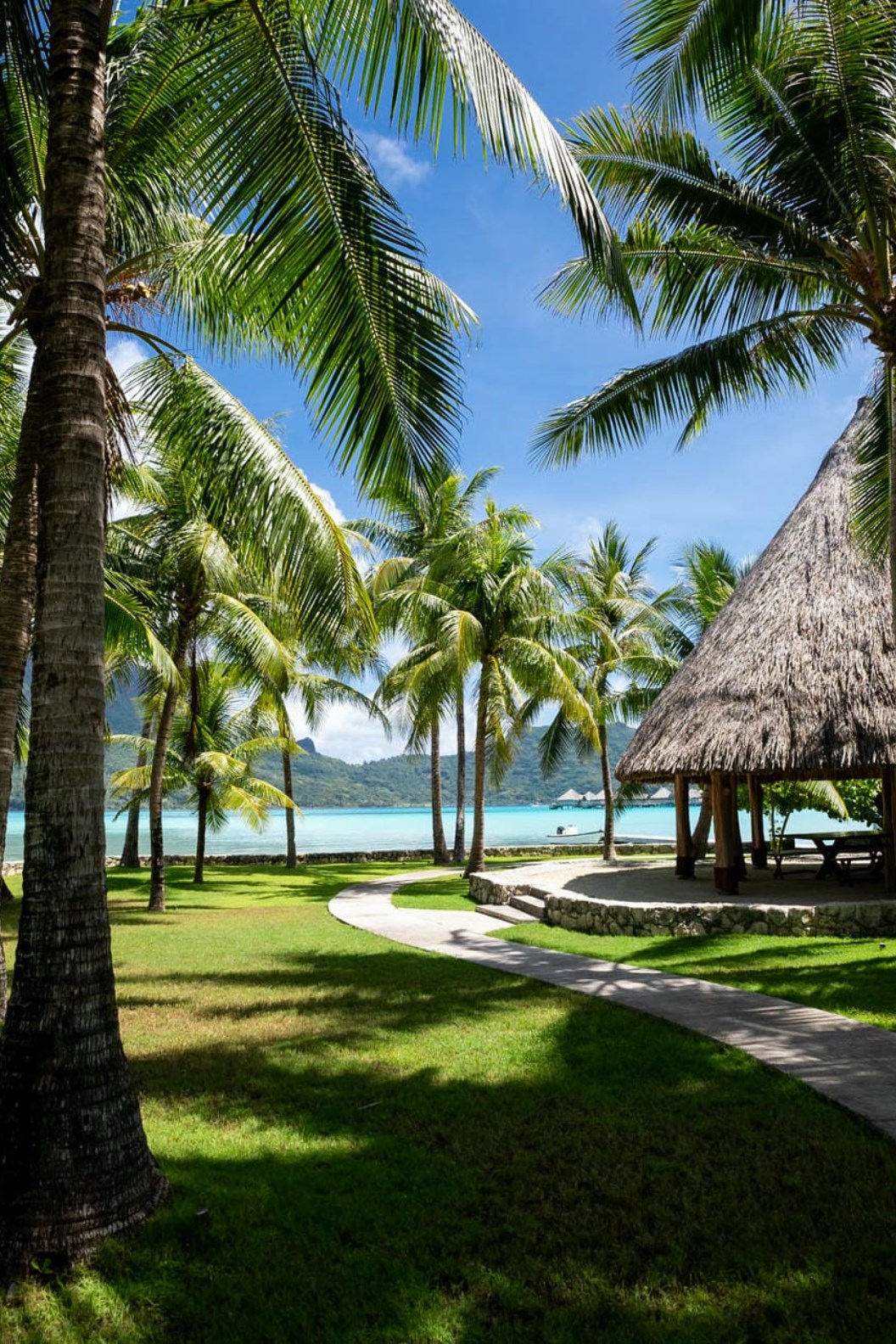 Noam Bora Bora