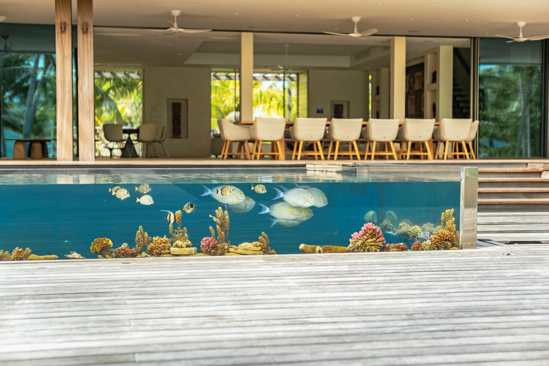 Noam Bora Bora