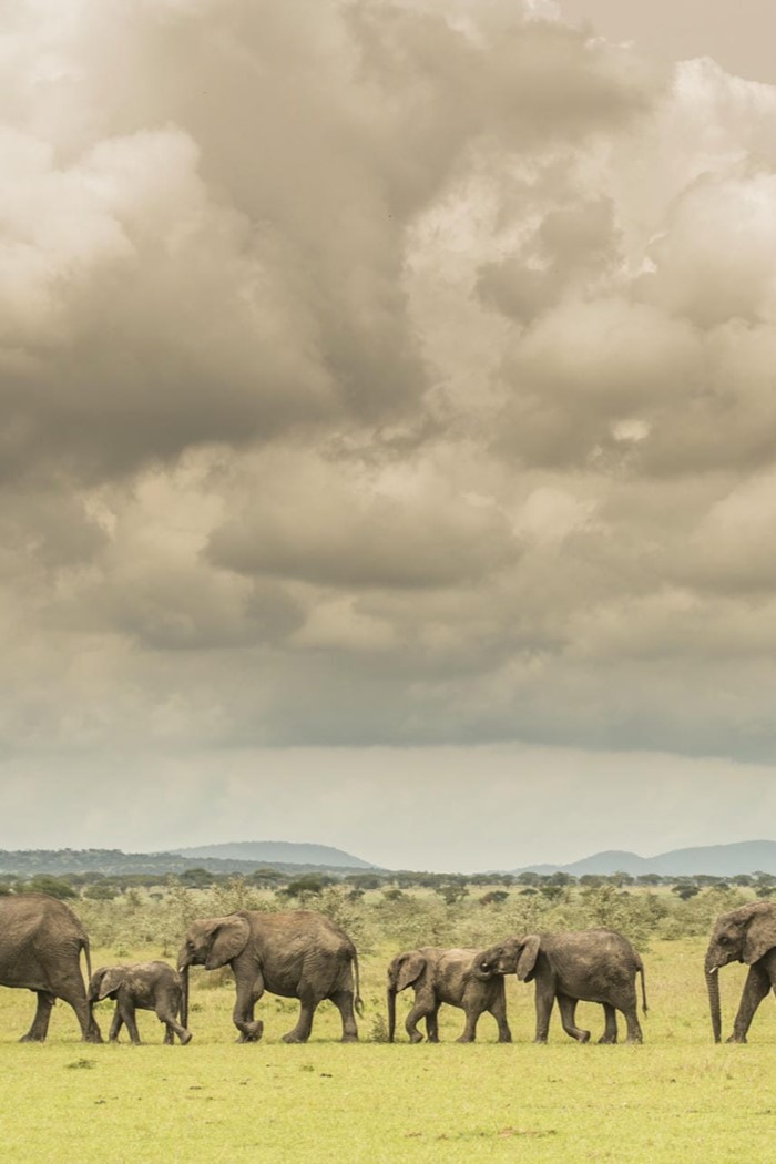 Singita Serengeti House