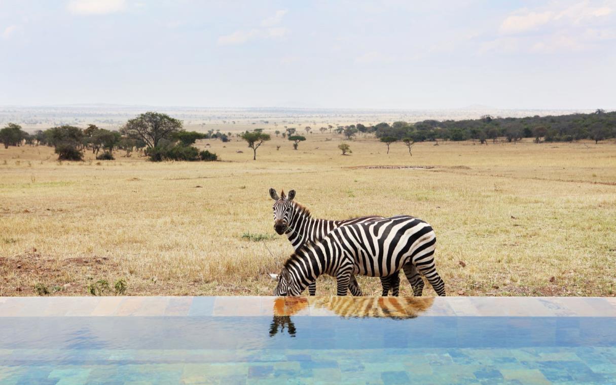 Lodge Tanzania Africa Safari National Park Luxury Singita Serengeti House Swim 3