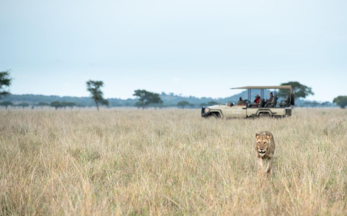 Lodge Tanzania Africa Safari National Park Luxury Singita Serengeti House Wild 13