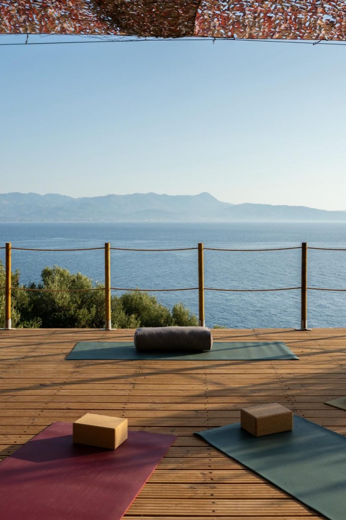 Bliss House