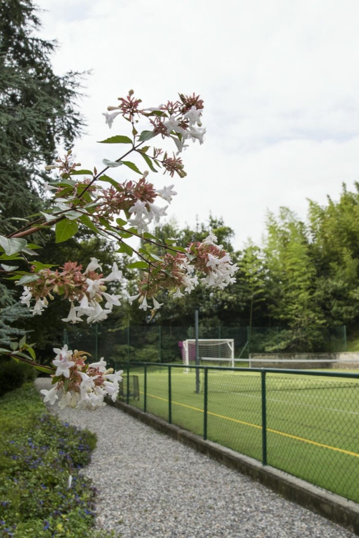 Villa Porto Felice