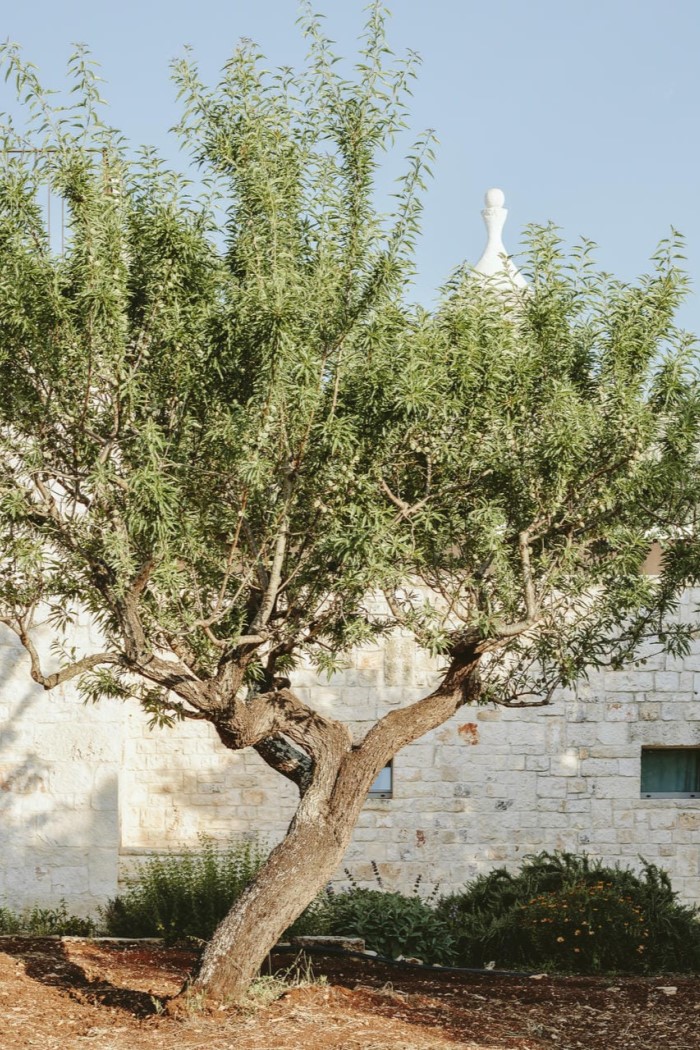 Masseria Donna Chiara