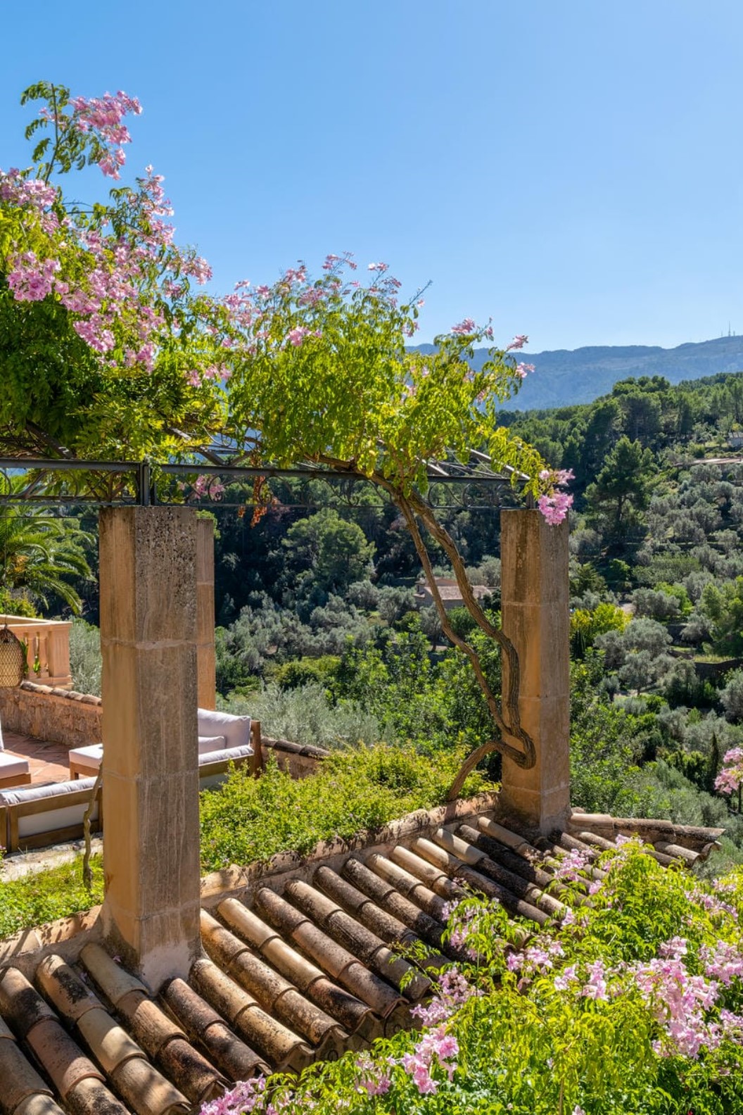 Finca Son Salas