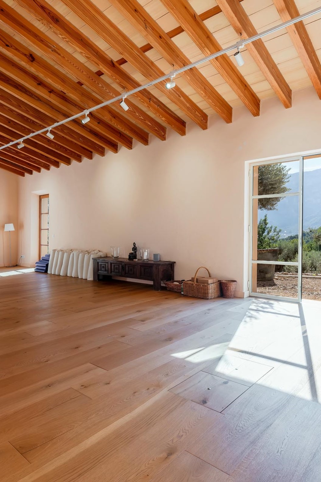 Finca Son Salas