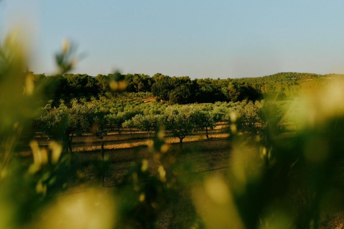Domaine de La Cavalerie