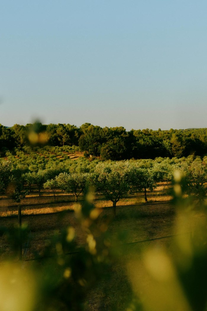 Domaine de La Cavalerie