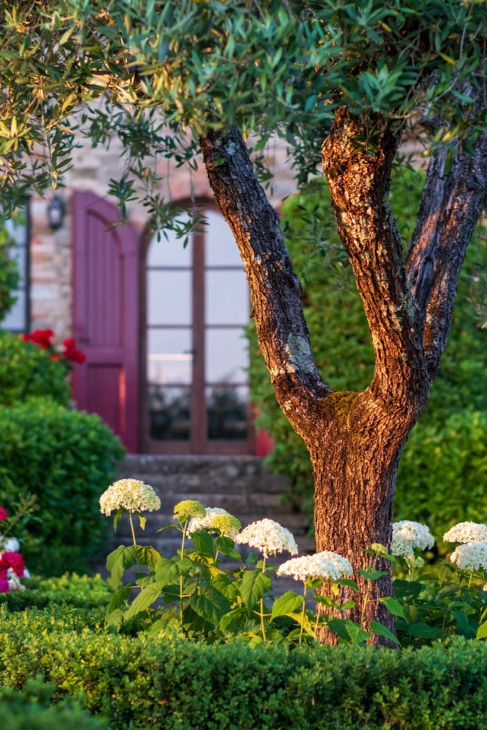 Villa Poggio alle Corti