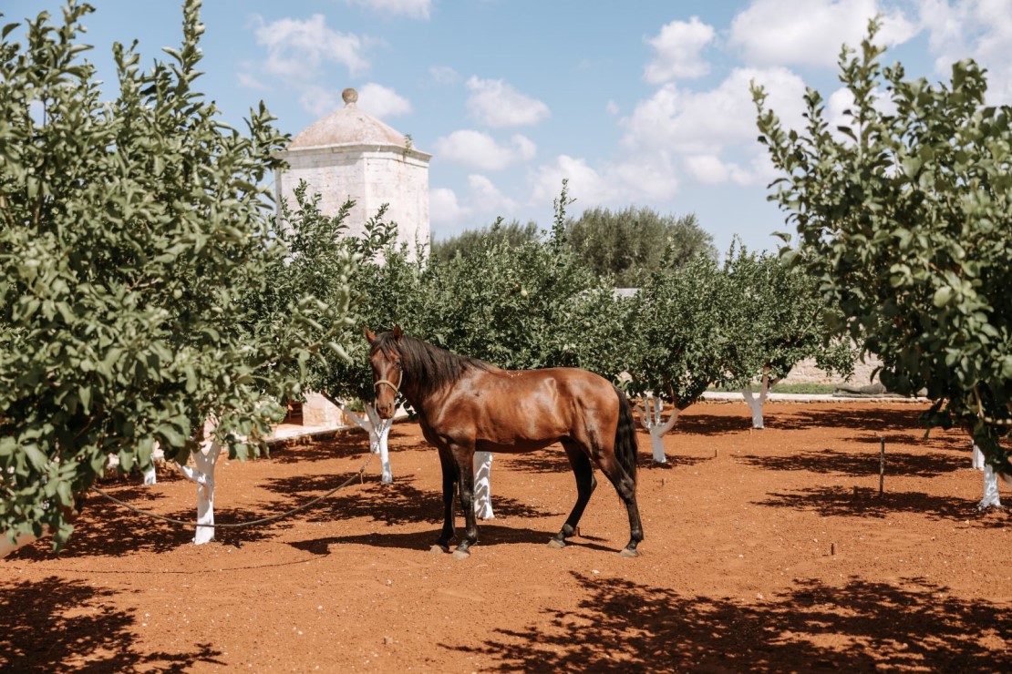 Masseria Lamacoppa