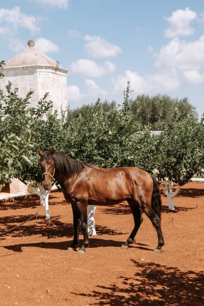 Masseria Lamacoppa