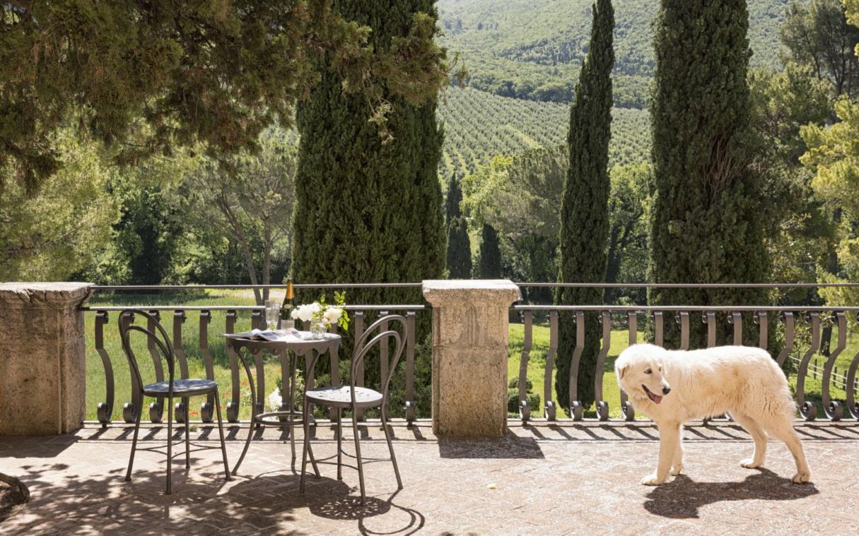 villa-umbria-tuscany-luxury-pool-paradiso-ter (1).jpg