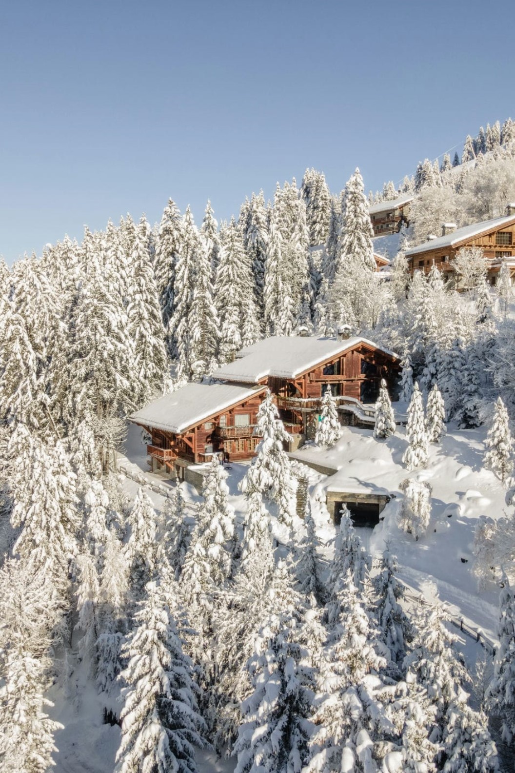 Chalet Le Grand Cerf
