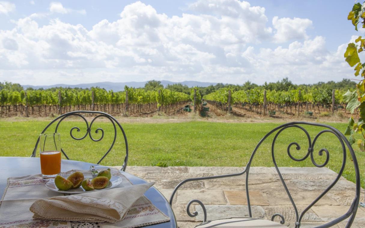 villa-tuscany-italy-country-vineyard-pool-borro-casetta-out-din (5).jpg