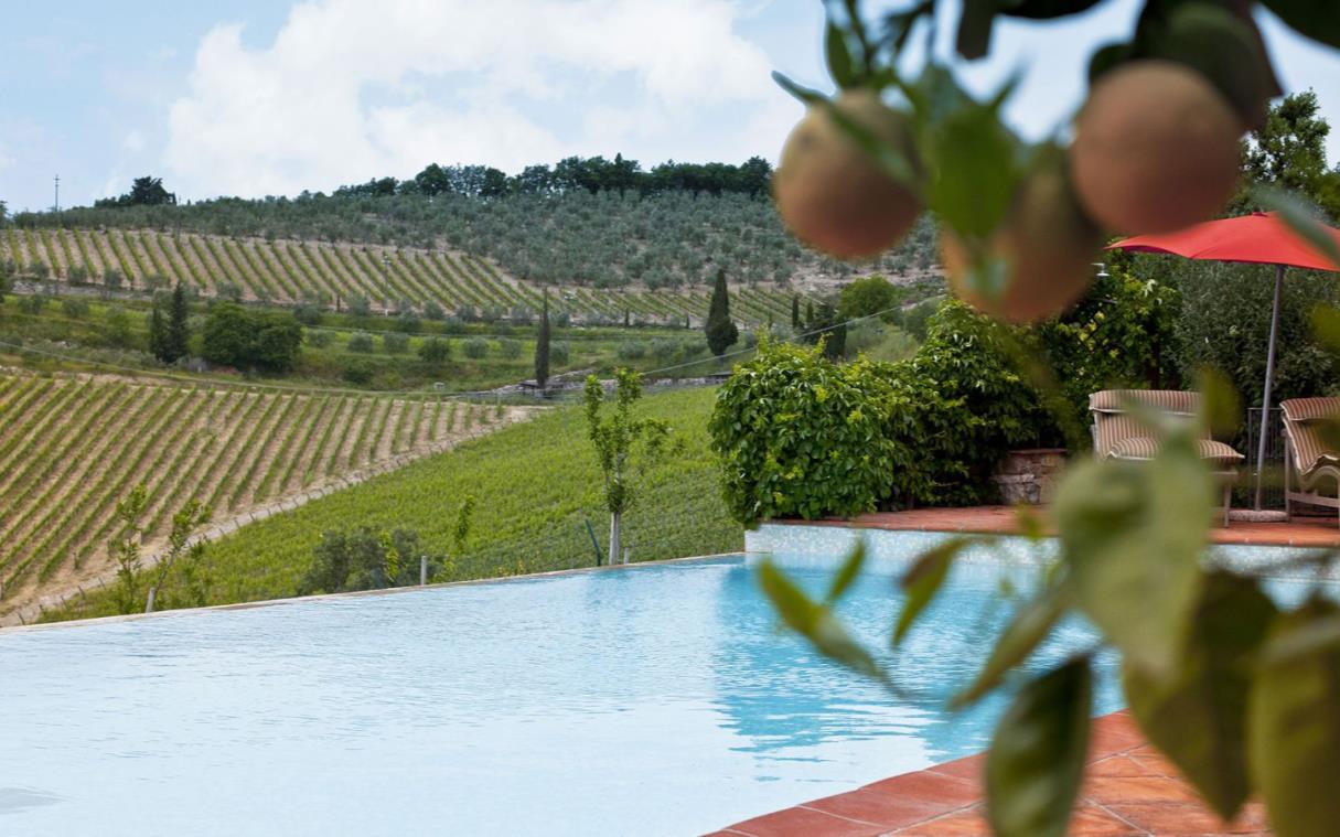 villa-chianti-tuscany-vineyards-infinity-pool-gardens-tuscan-farmhouse-poo-3.jpg