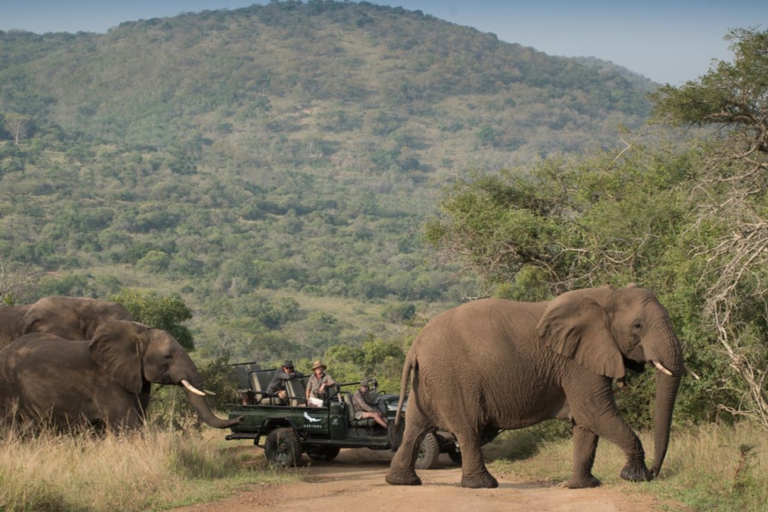 Phinda Rock Lodge