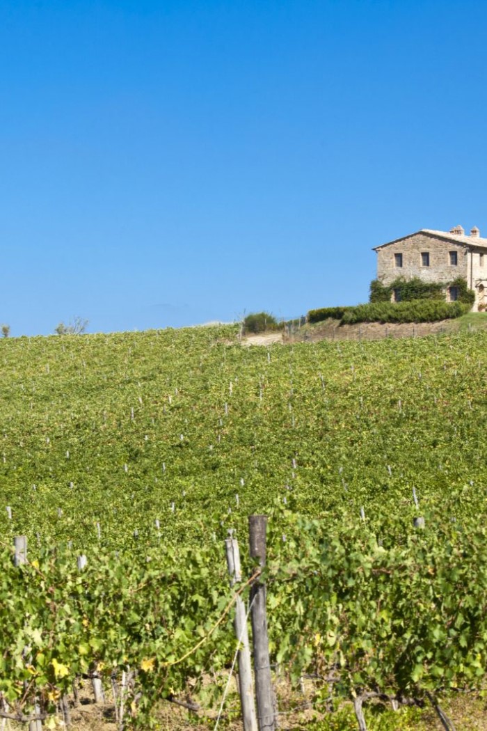 Villa Gauggiole