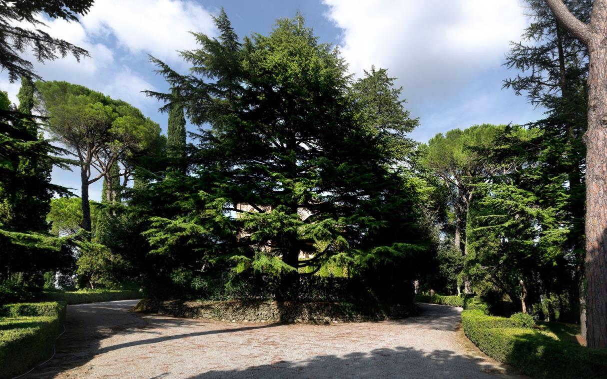 villa-siena-tuscany-italy-luxury-swimming-parco-del-principe-ext (11).jpg
