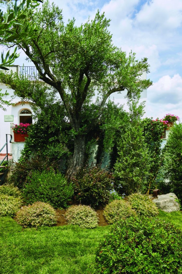 Villa Margherita - Amalfi Coast