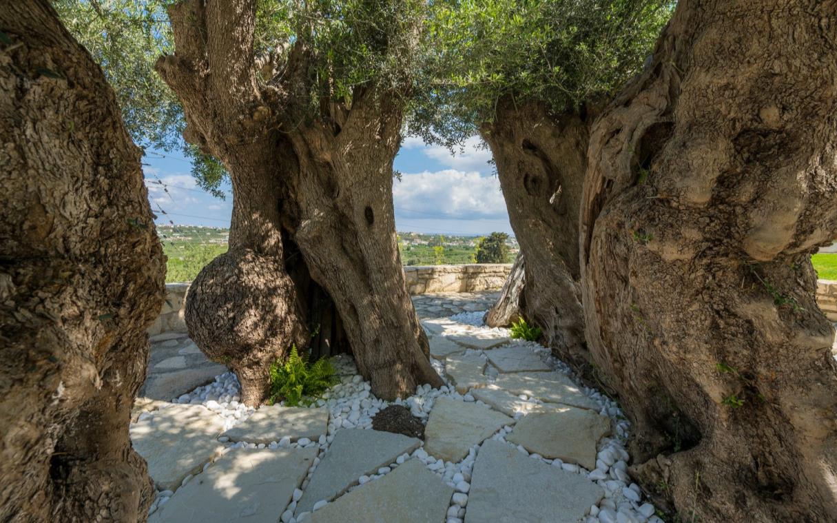 villa-crete-greek-islands-greece-luxury-sea-pool-olive-nest-drive (9)
